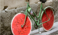 Placeholder Image-1